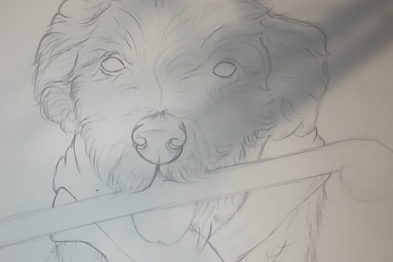 Initial Sketch