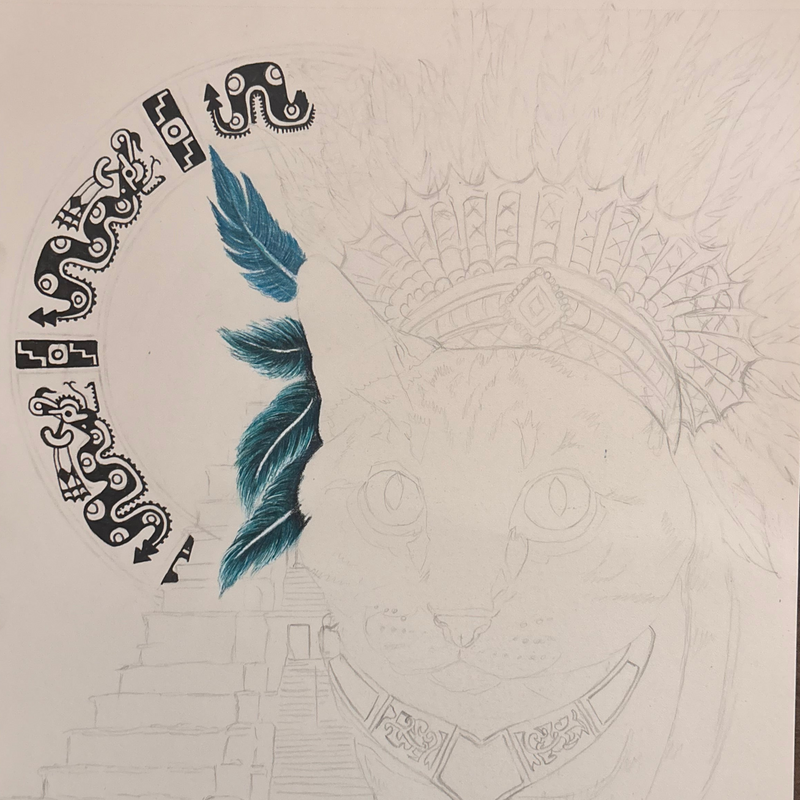First Steps