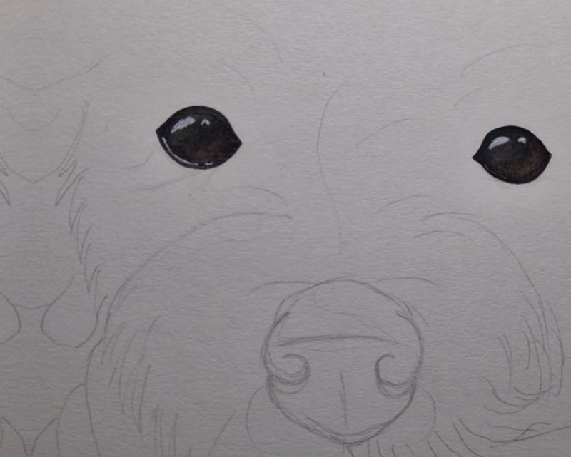 First Steps