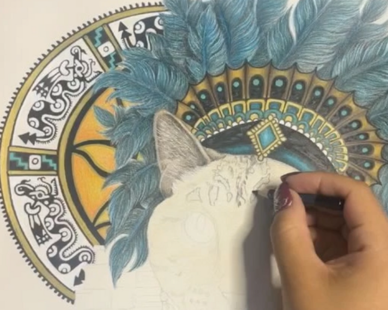 The Details