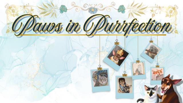 Logo & Banner Design Package